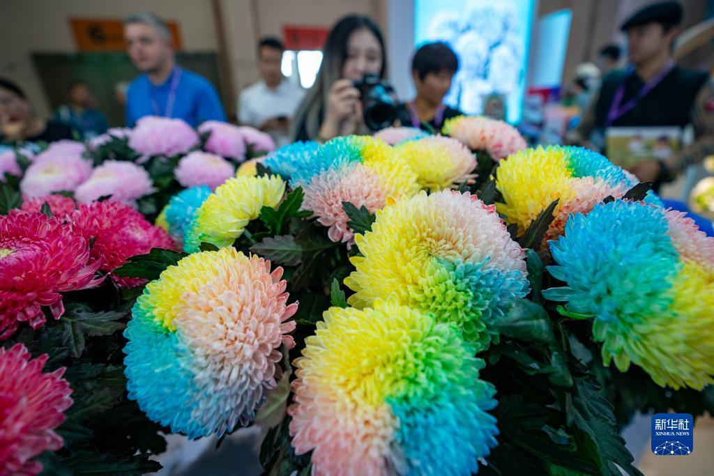 娱乐场送彩金